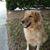 Tom Brawley's profile image