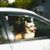 Kathy Klemm Whelchel's profile image