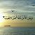Faten Abbas's profile image