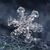 Beth Zahn Texter's profile image