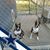 Mary Hallock's profile image