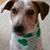 Nancy Schmalz's profile image