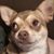 Melinda A Russell's profile image
