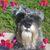 Arturo Palomar's profile image
