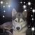 Kelley Pruitt's profile image