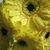 Kathy Evans Fielder's profile image