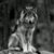 Gregory M Mc Ghee's profile image