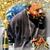 Sam Martin's profile image