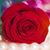 Mithuna Kanthasamy's profile image