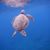 Diane Wilkerson's profile image