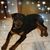 Lois Boling's profile image
