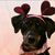 Andrea Orive's profile image