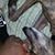 Charlie Williams's profile image