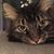 Barbara Ann's profile image