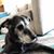 Kris Huseth Wedeven's profile image