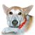 Valerie Hildebrand's profile image