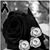 Joan Leal's profile image