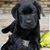 Ray Peters's profile image