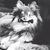 Robyn Warzenski Beck's profile image