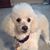 Jan B. Bailey's profile image
