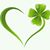 Beth Bergan Holm's profile image
