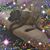 Whitney Paterson's profile image