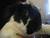 Denise M.'s profile image