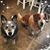 Louanne M. Balus Ward's profile image