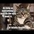 Debbie Fay - Hoffman's profile image