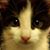 Jacki Leach's profile image