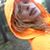 Melissa Powers's profile image