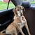 Robin Hayes's profile image