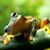 Sue Stephenson's profile image