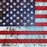 M L.'s profile image
