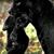 Vanita Duncan Carter's profile image