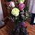 Carol Annesser's profile image