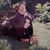 Silvia Moreno's profile image