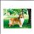 Marie Evers's profile image
