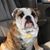 Christine Miller Galvin's profile image
