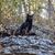 Katherine Peters Taul's profile image