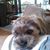 VickiandRussell Sowry's profile image