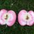 Karen Bowerman's profile image