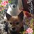 Jan Brown's profile image