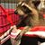 Teree Lartigue's profile image
