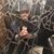 Denise Bova's profile image