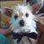 Nancy Miller's profile image