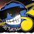 Scott Thomas Notesfromneptune's profile image