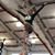 Beth Ann Cleary Kovach's profile image