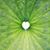 Christine Barrila's profile image