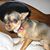 Kellie Young Boudreau's profile image